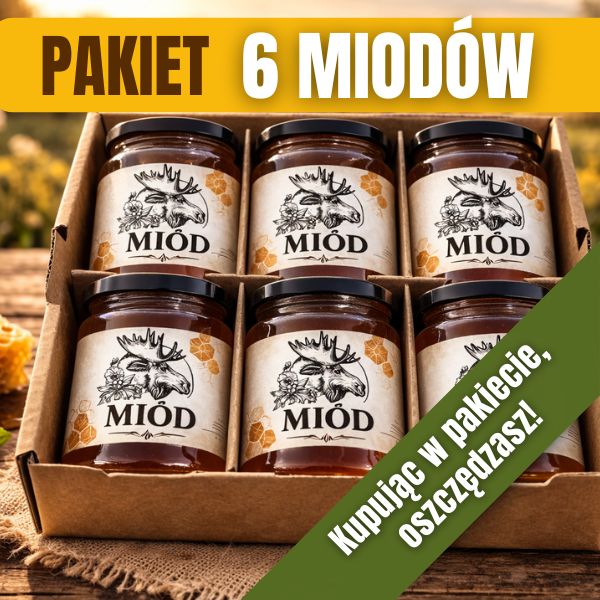 Pakiet miodów 6 szt.
